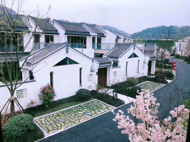 易辰江南大院25000元/㎡