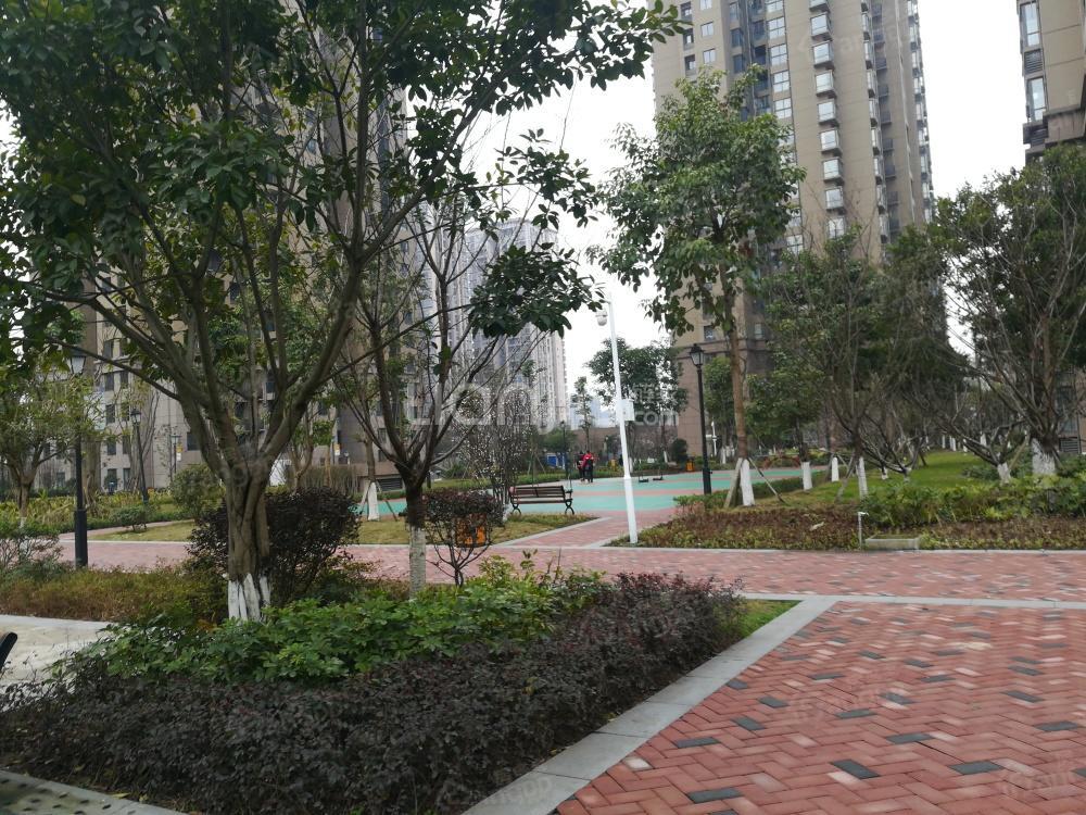 东邦城市花园三期小区图片