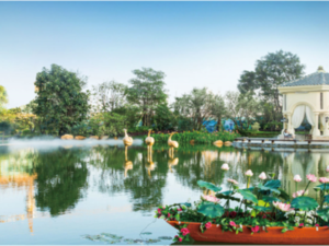 新滨湖恒大文化旅游城