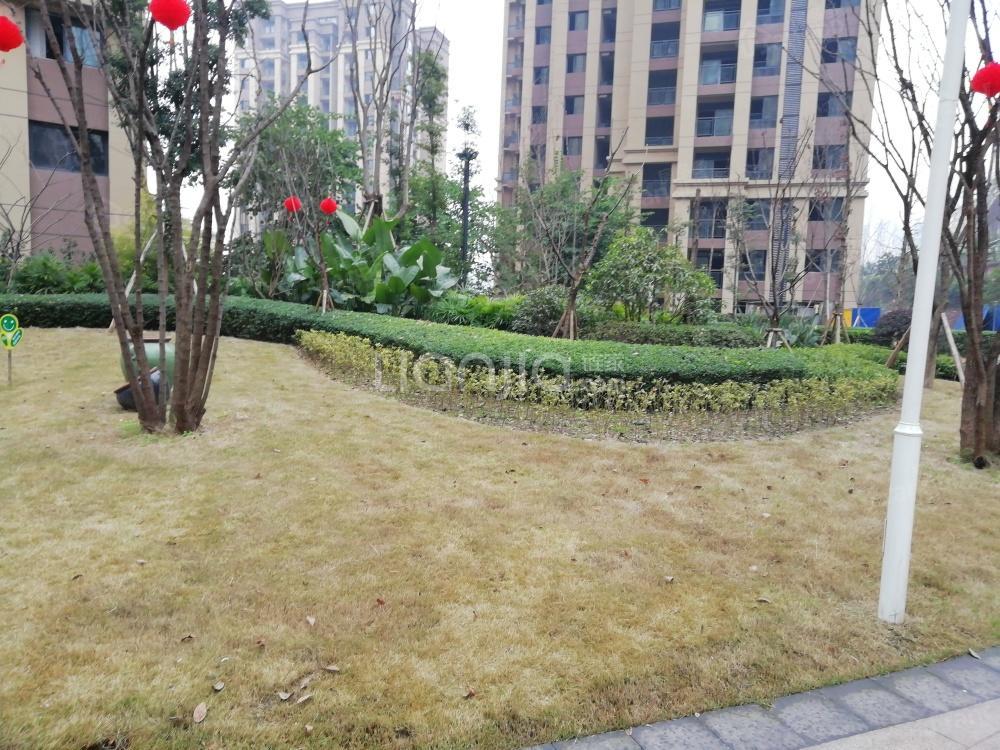 嘉鸿时代印象小区图片