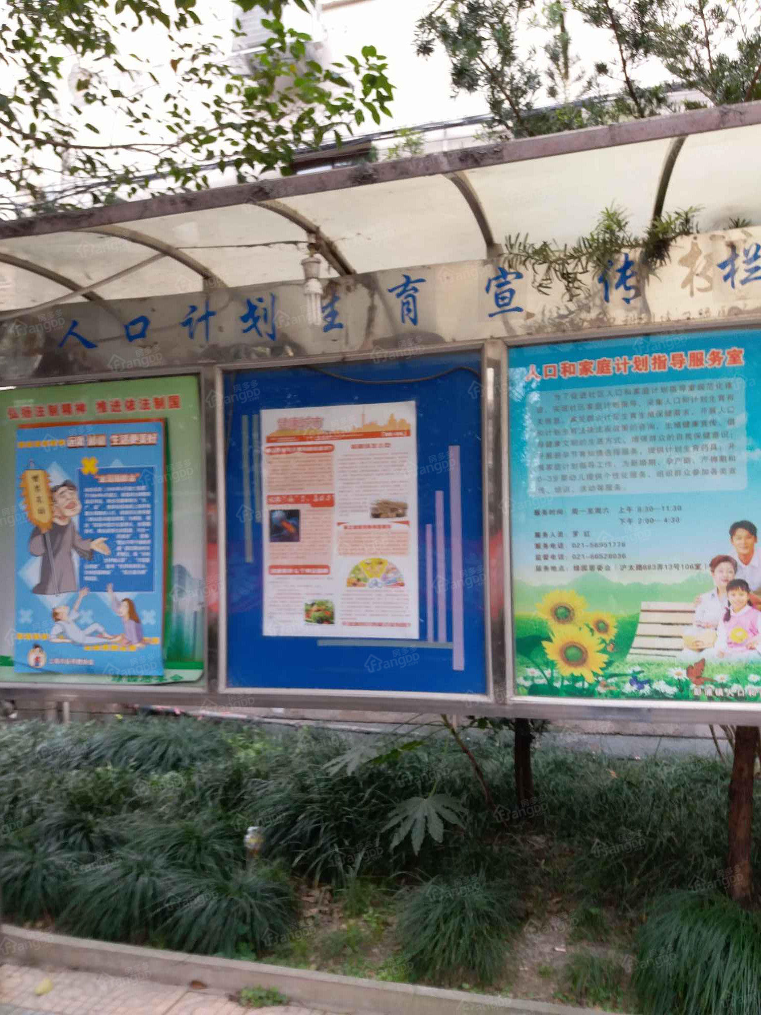 绿苑小区小区图片