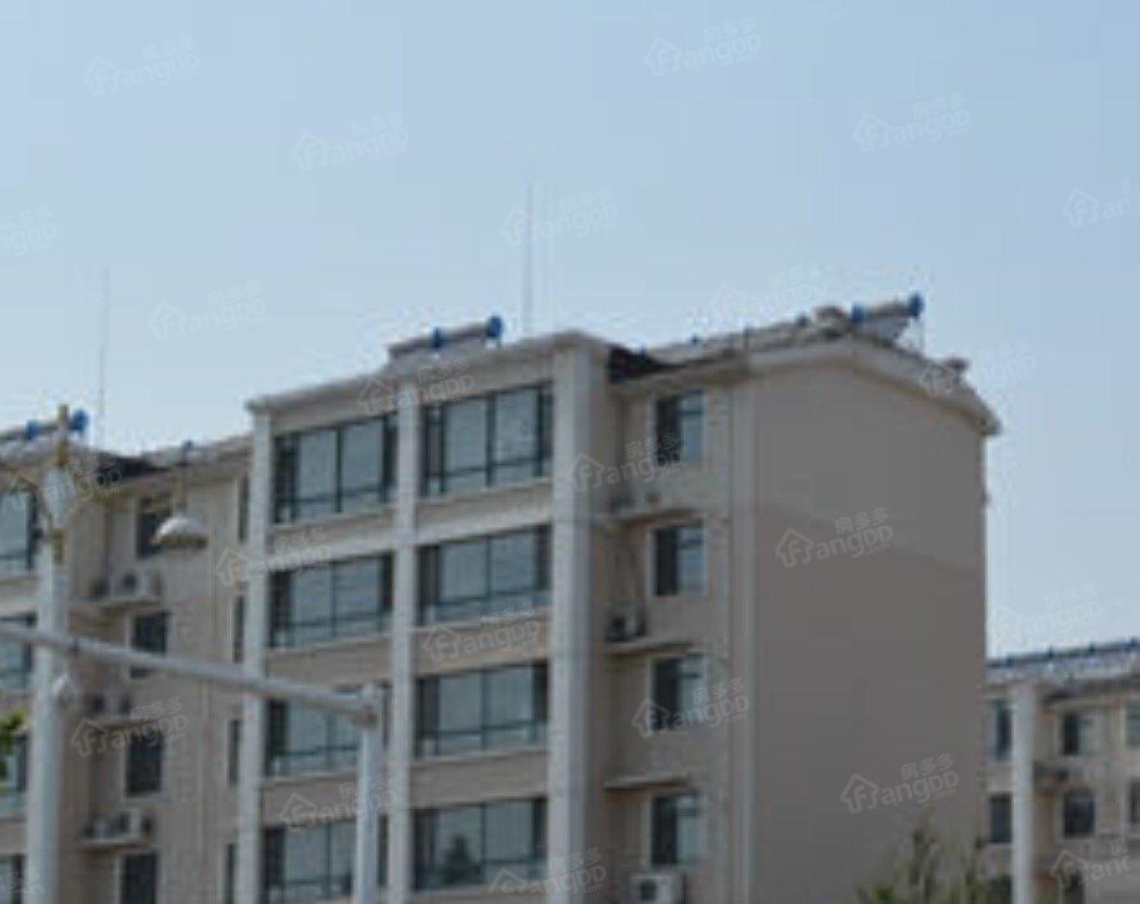 六区津园小区图片