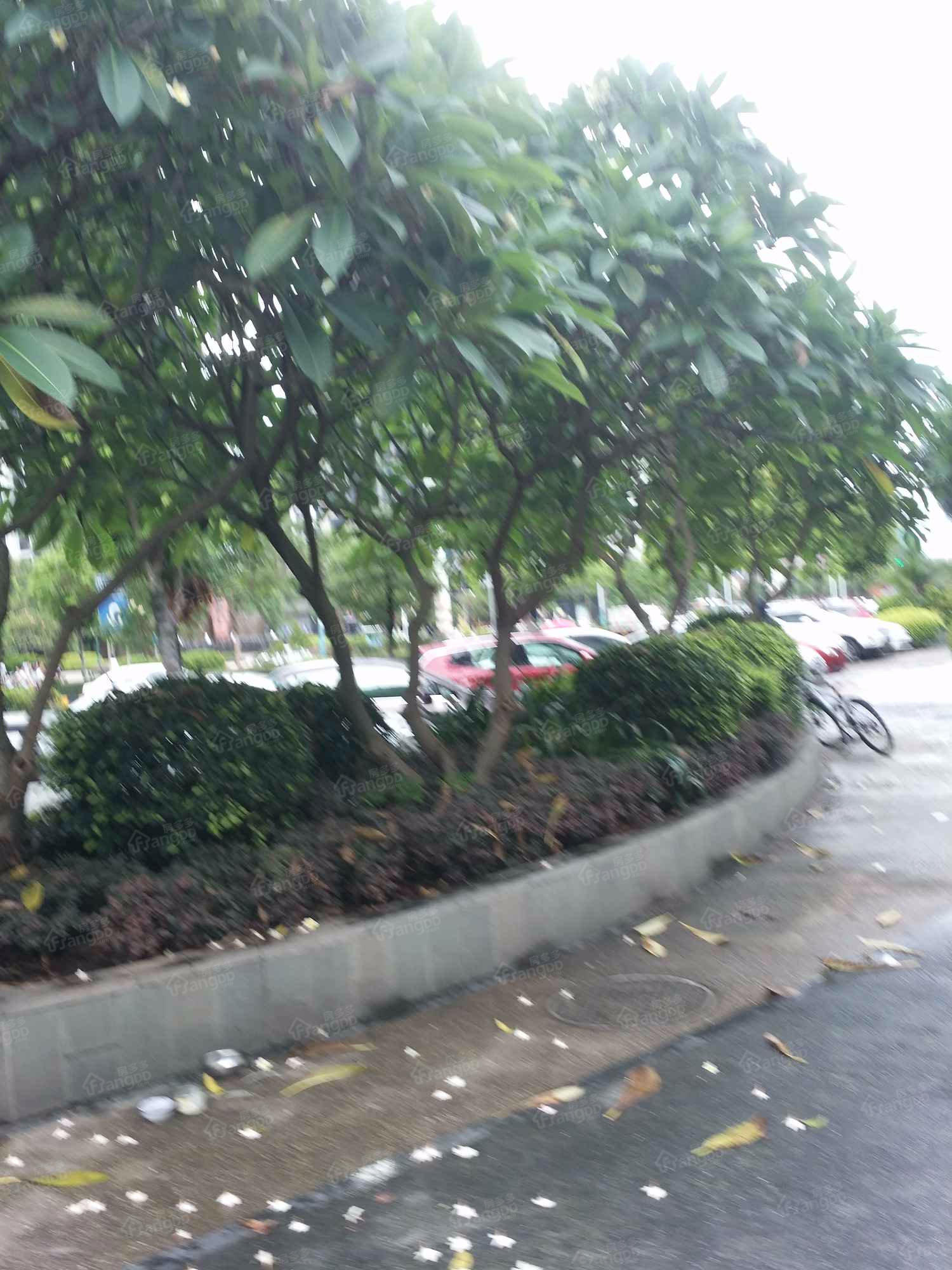 君兰苑小区图片