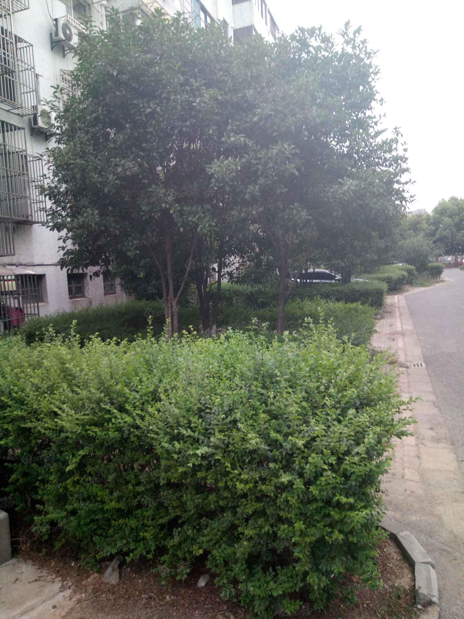 花园四村小区图片