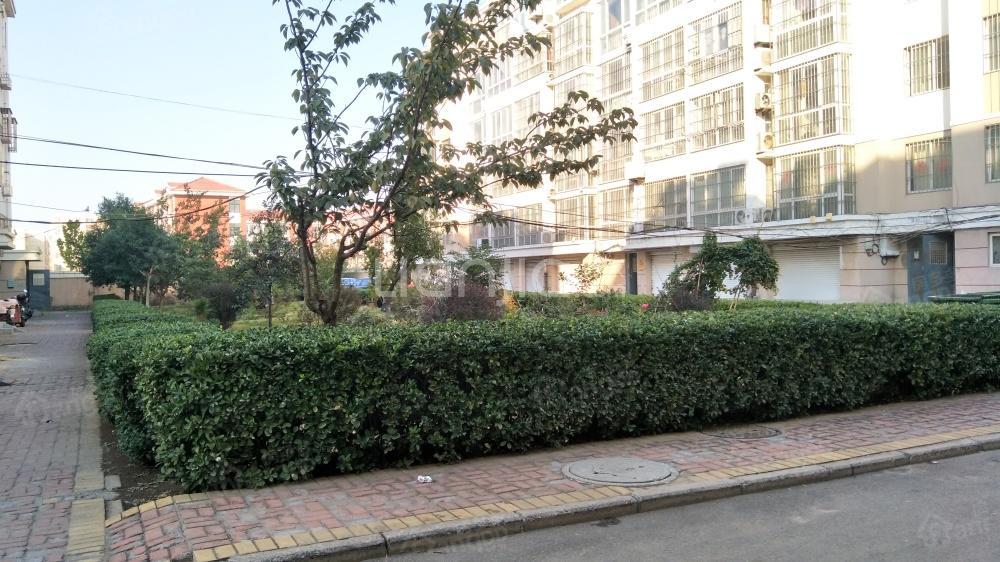 樱花园小区小区图片