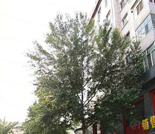 顺南小区小区图片