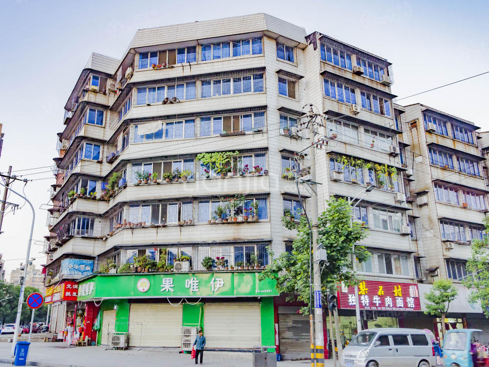 树藩大街556号小区图片