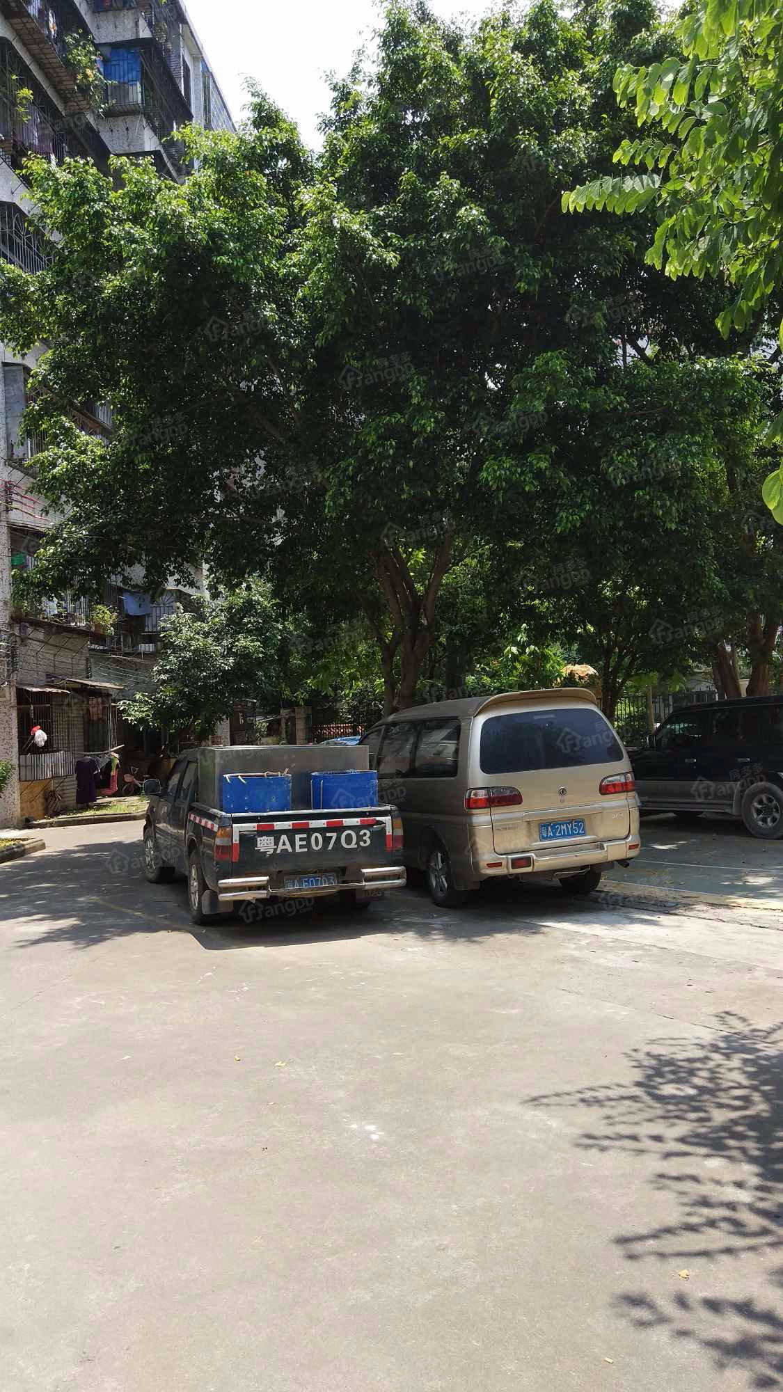 林业局宿舍小区图片