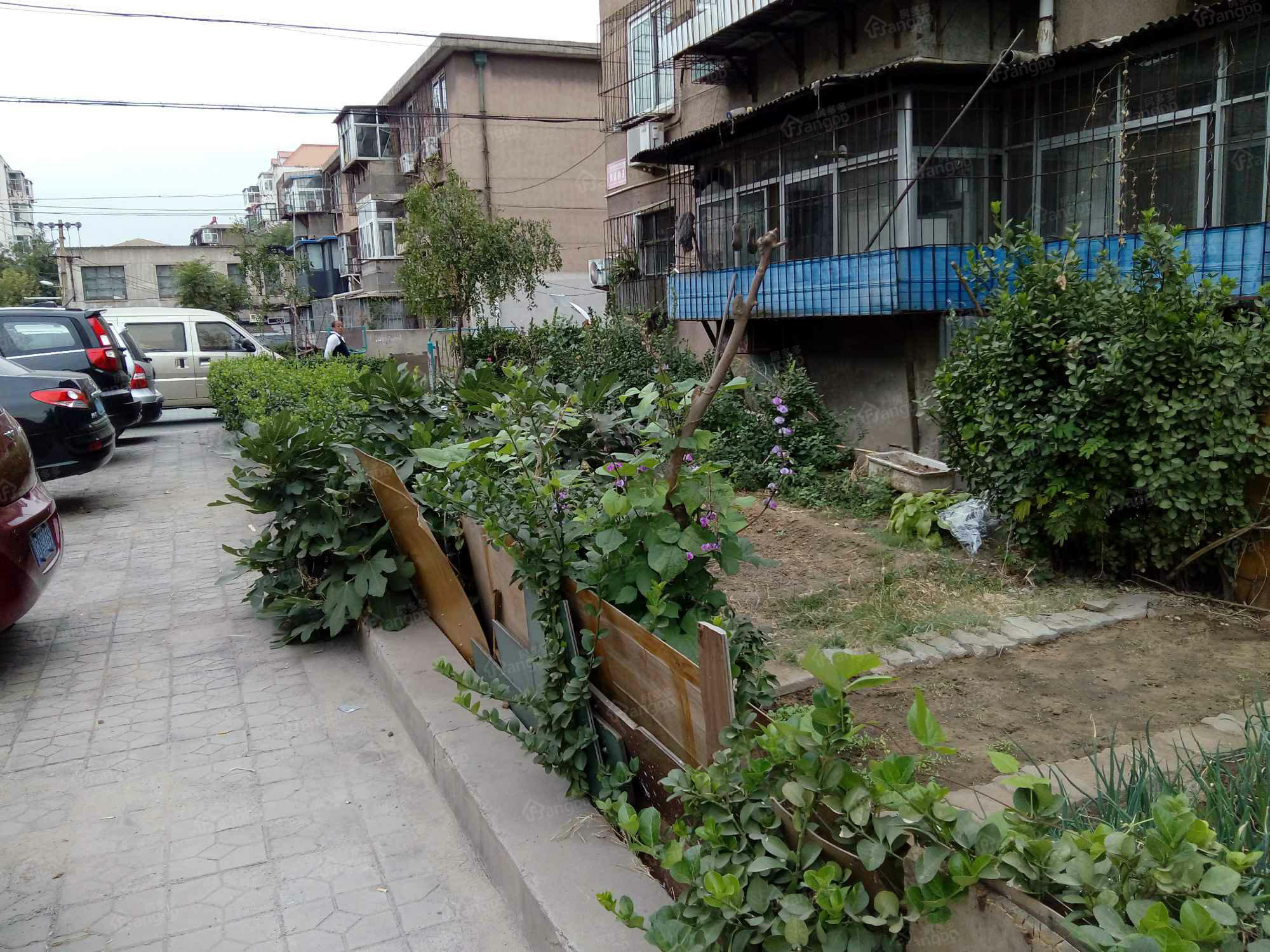 跃进楼小区图片