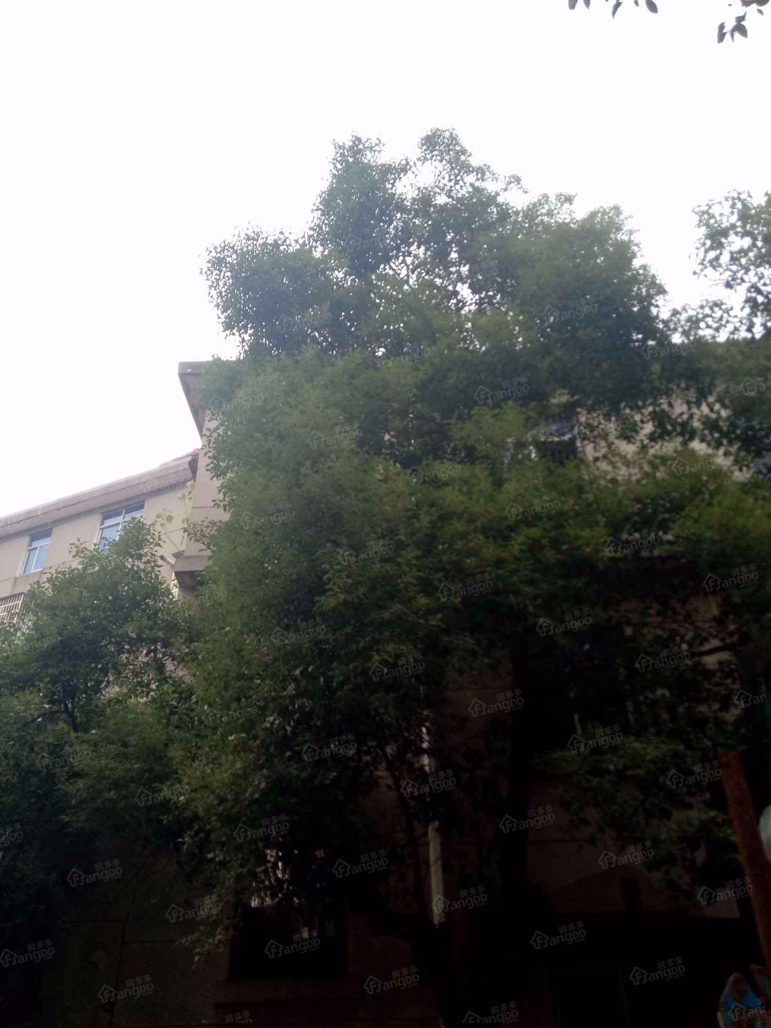 名人大厦小区图片