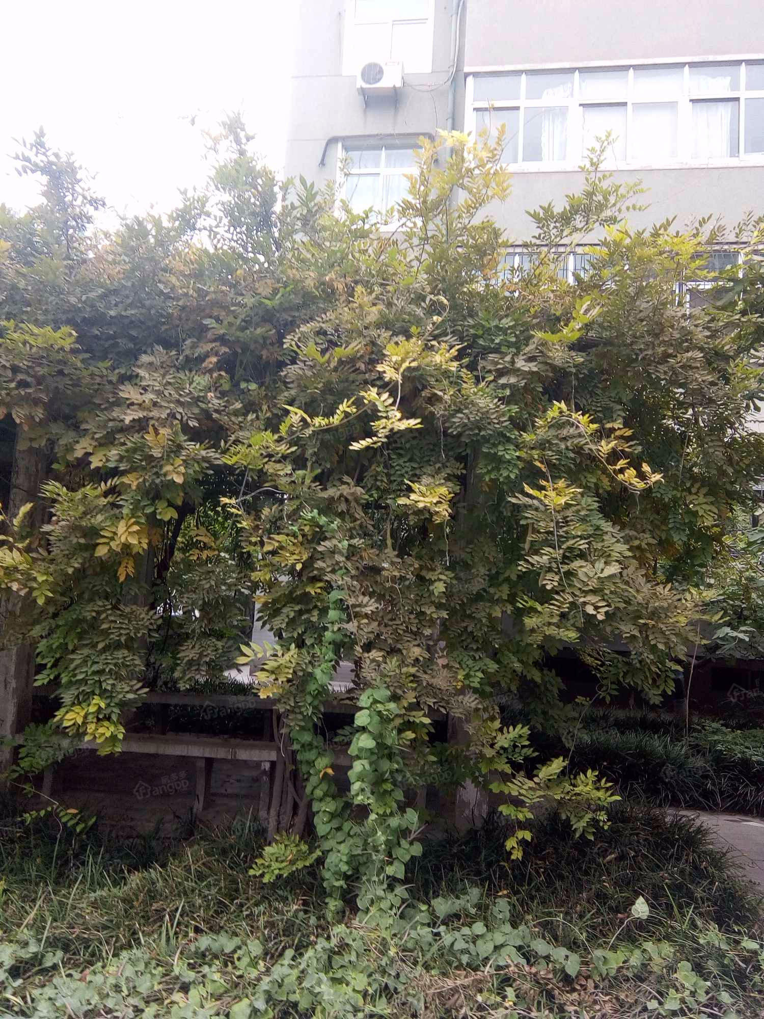 河北电力职工大学宿舍小区图片