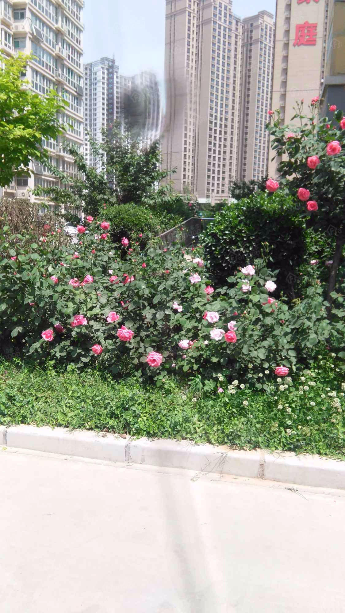 桑园小区小区图片