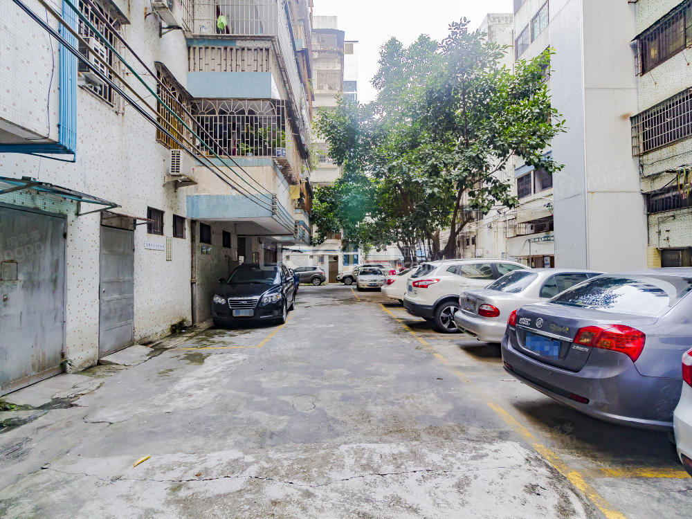 惠州市下埔建委小区小区图片