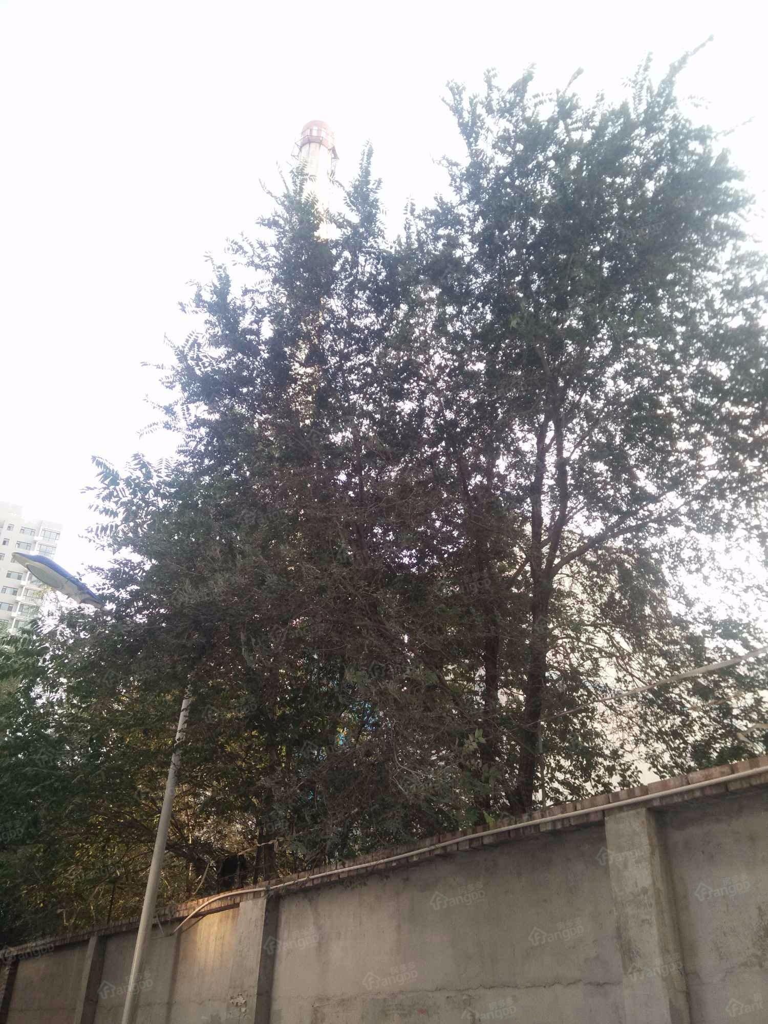 巧克力公寓小区图片