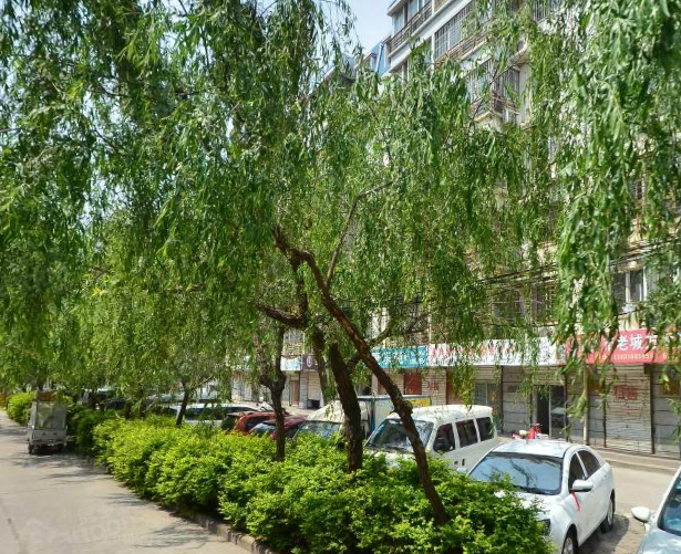 古都绿城小区图片