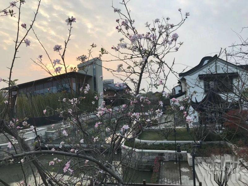 孔雀城一期塘院小区图片