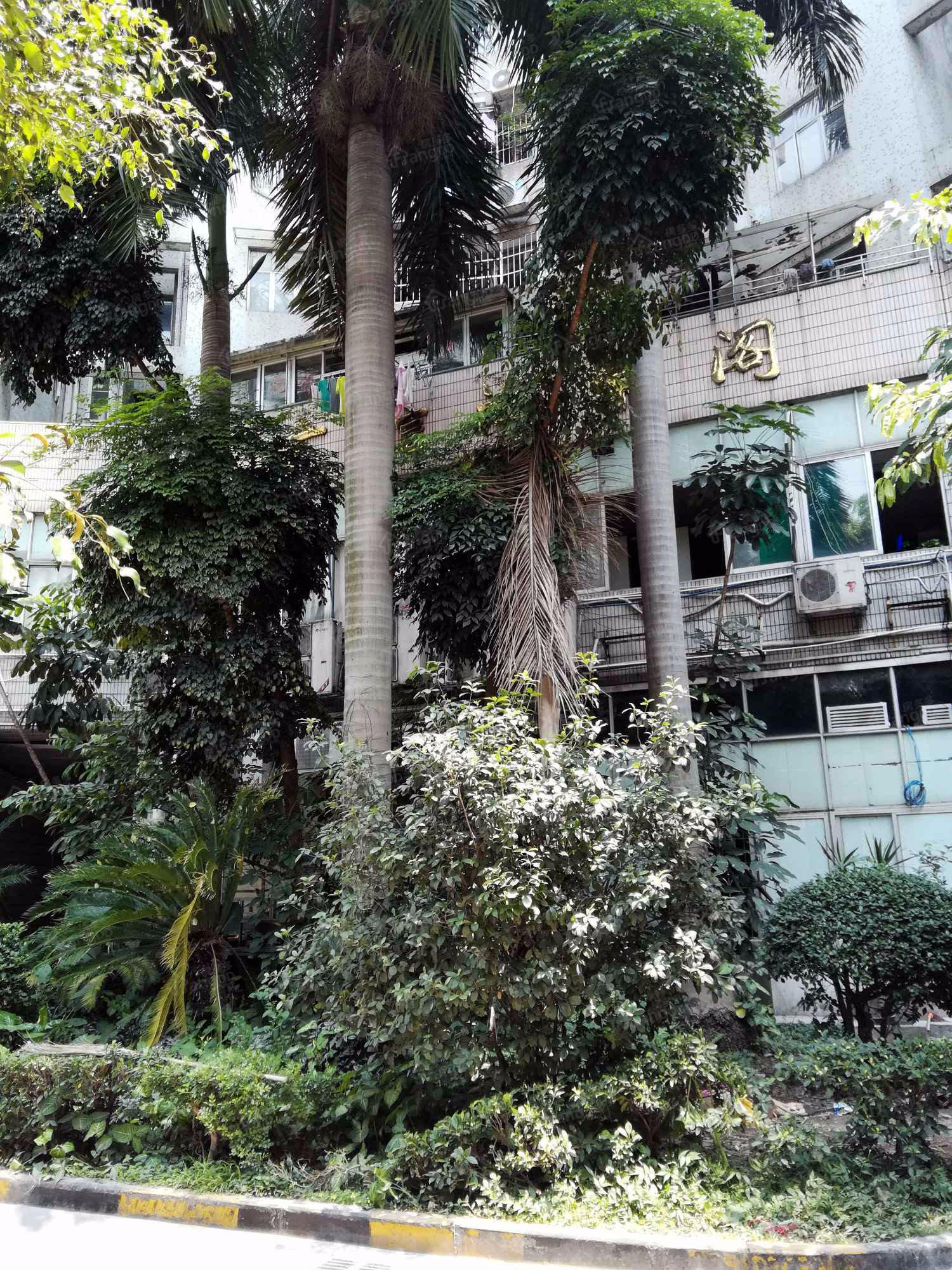 海棠阁小区图片