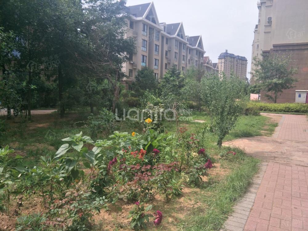 鼎盛佳苑小区图片