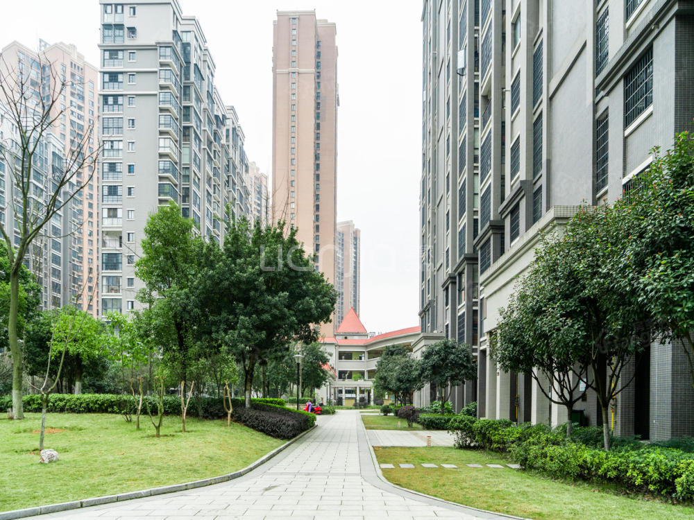 丰源国际小区图片