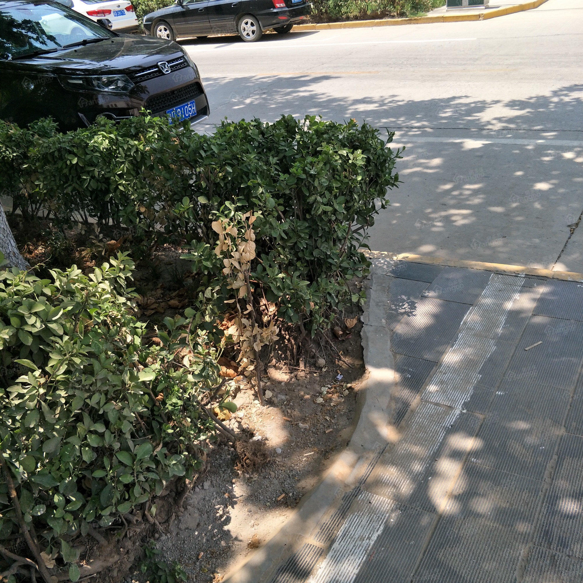 泰禾馨苑图片