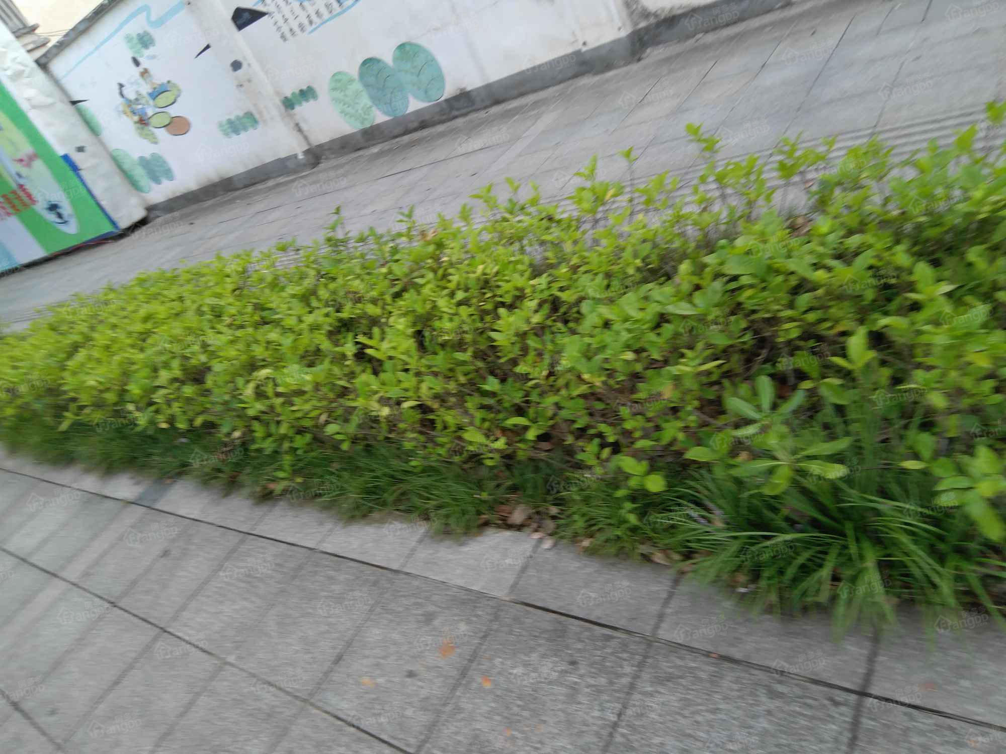 财富港湾小区图片