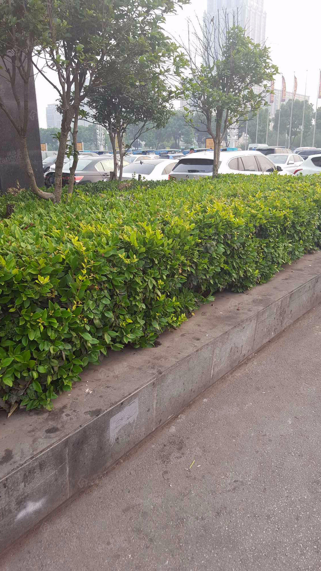 中翔丽晶小区图片