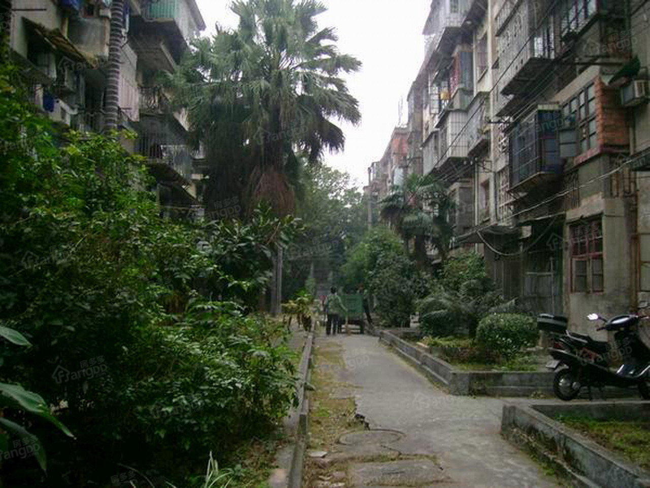 世欧王庄三区图片