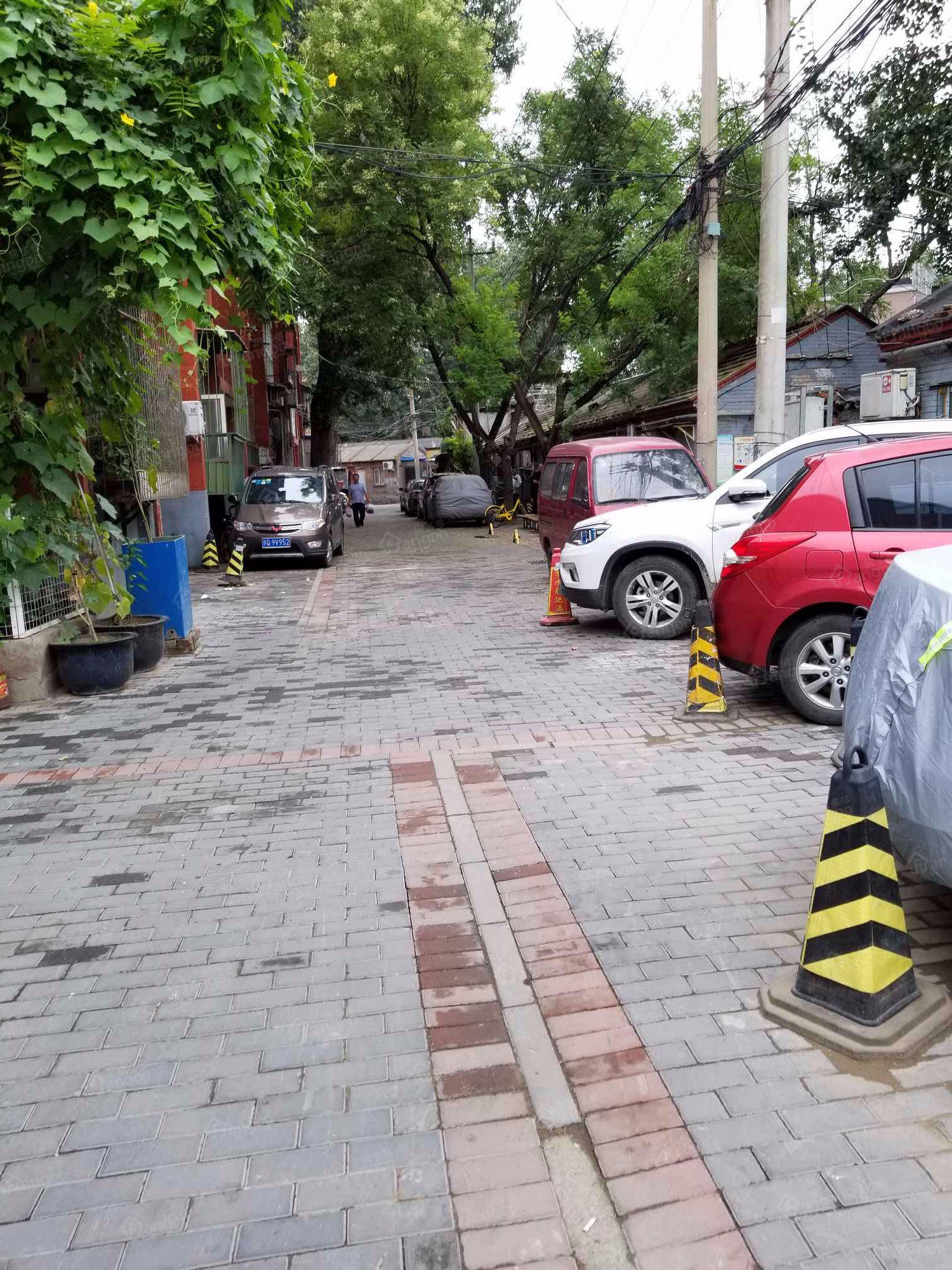 大红门南里小区图片