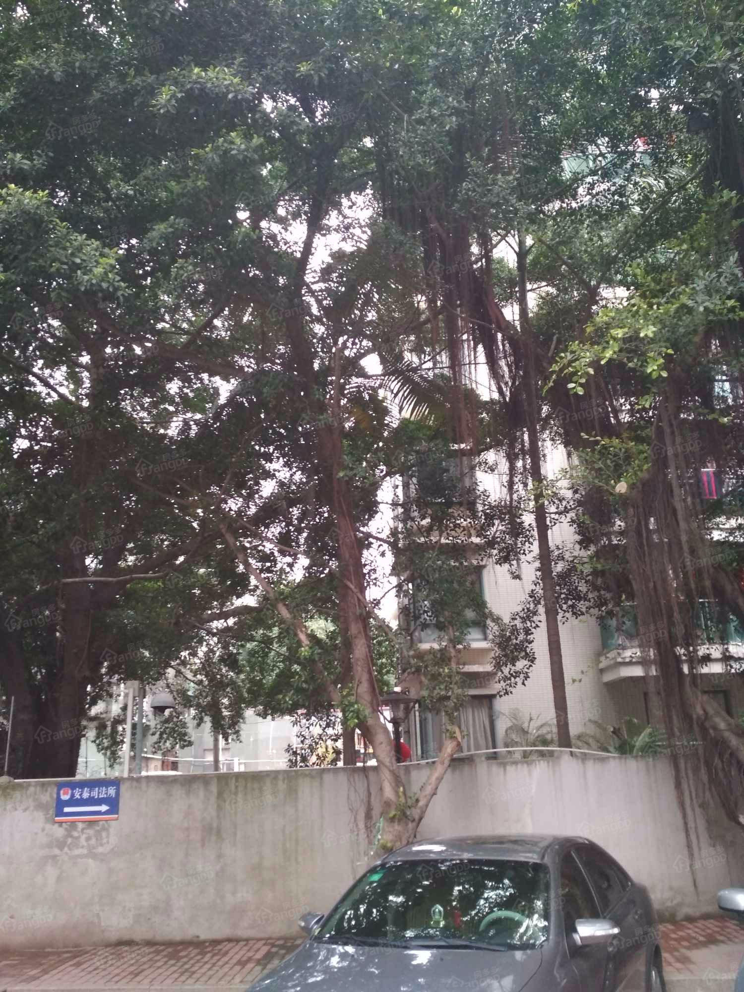 西河里新村小区图片