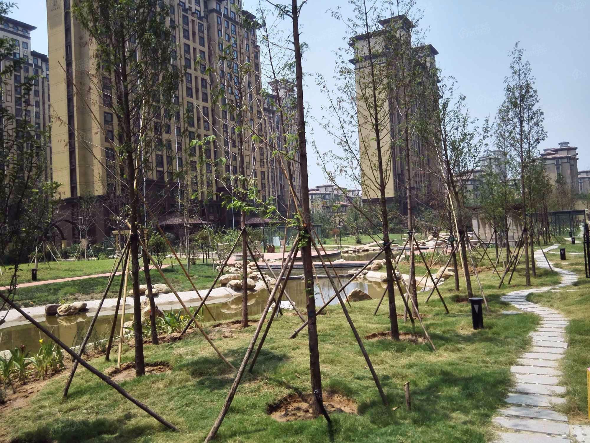 清华大溪地三期九号院（公寓）图片