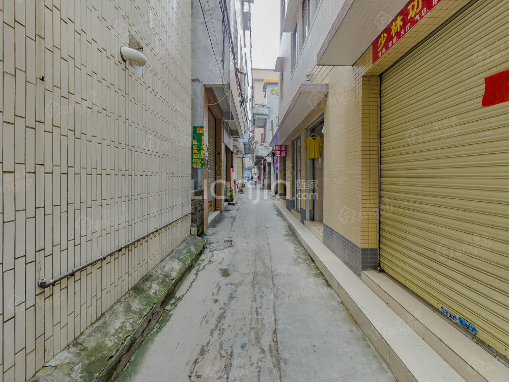 桂城石啃村小区图片