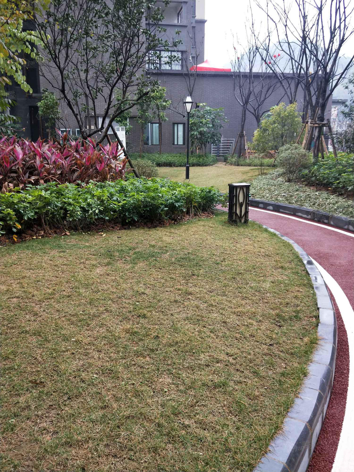 联发荣君府图片