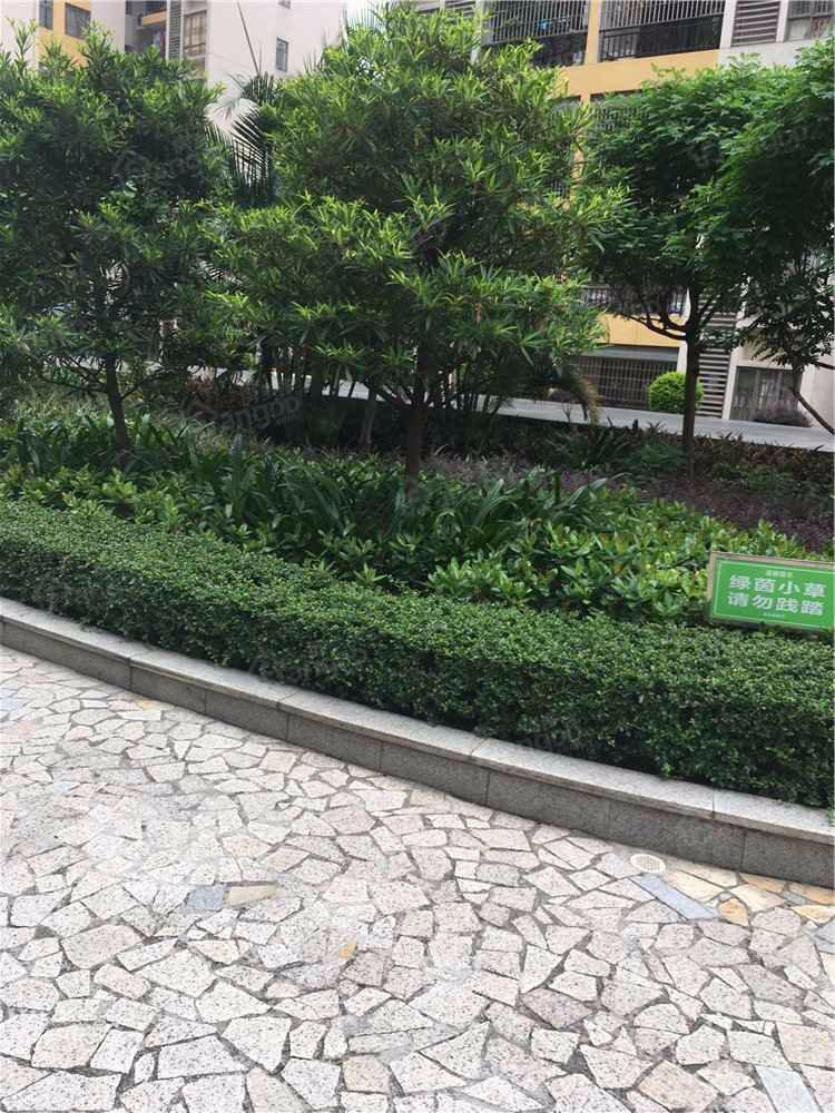 都会雅苑图片