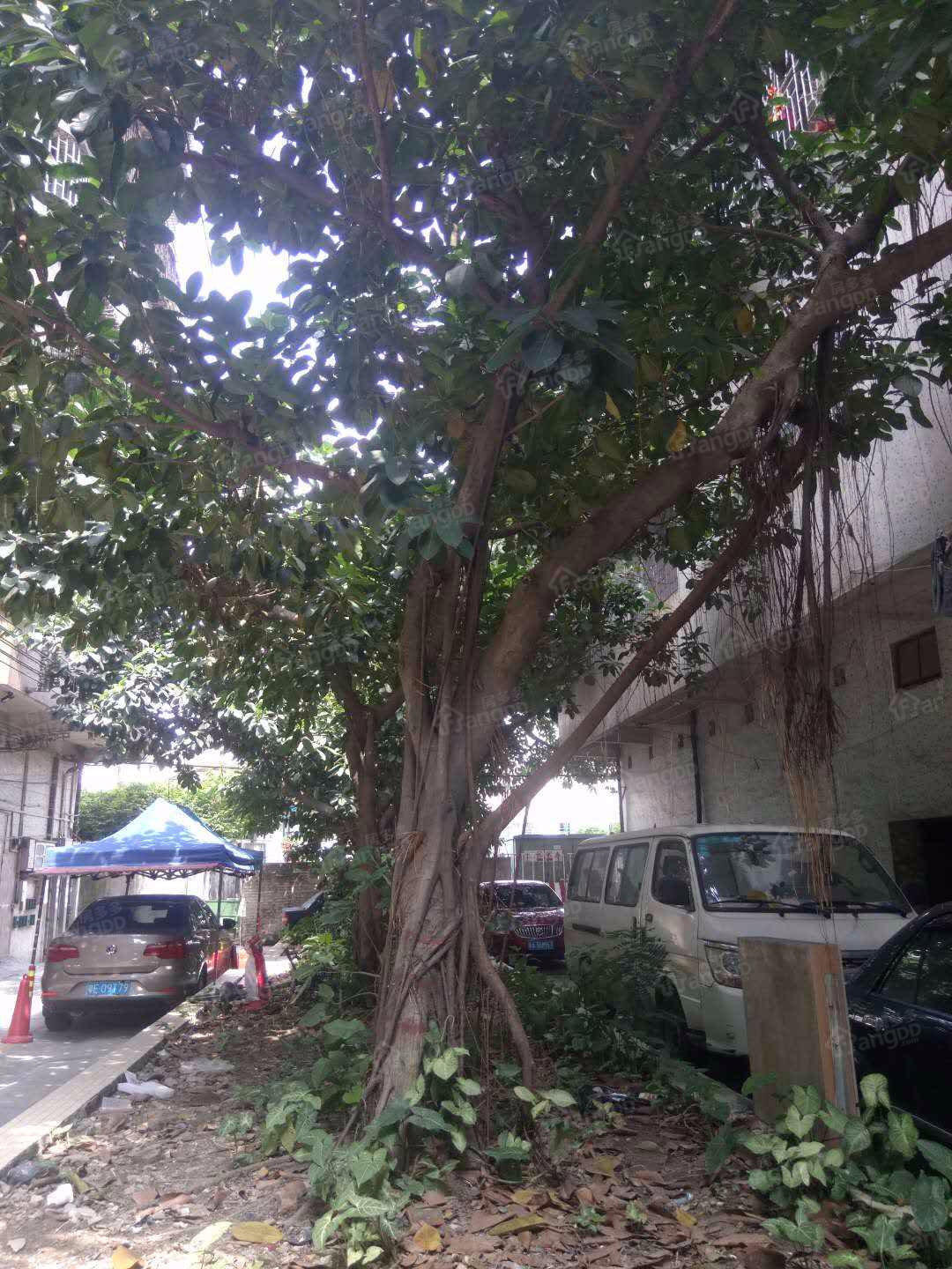 张槎四路小区图片