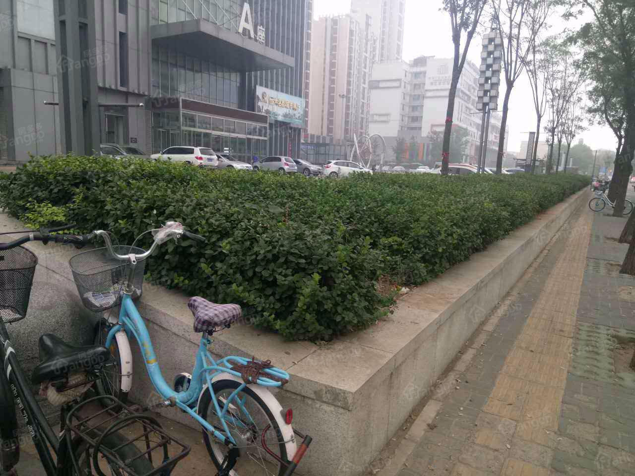 凯创国际公寓小区图片