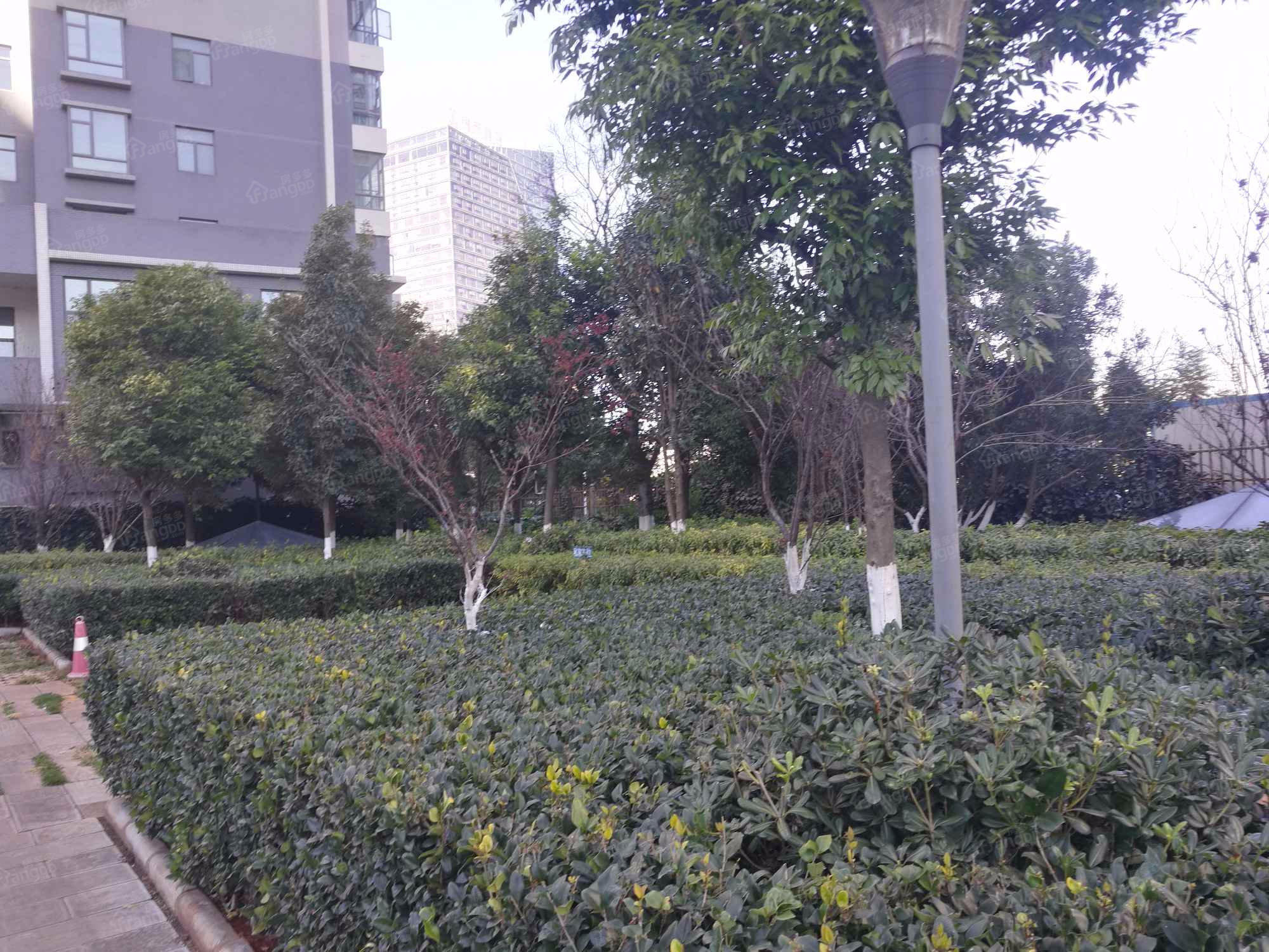 东湖第一城小区图片