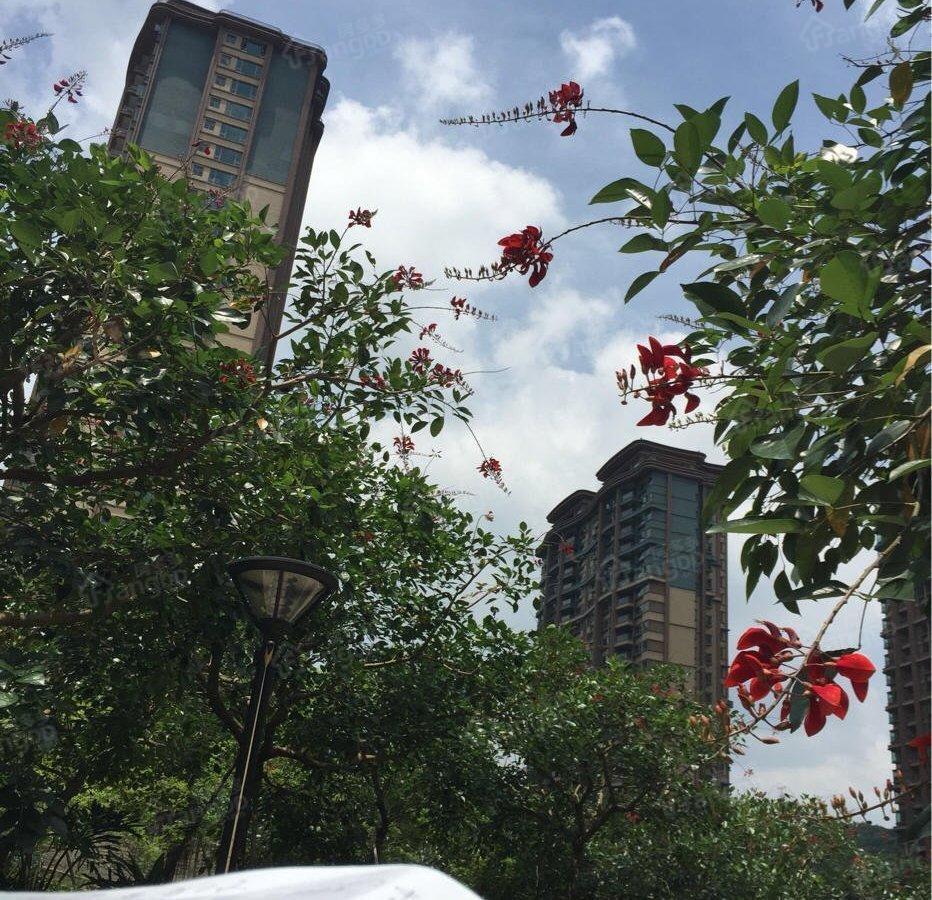同创誉城小区图片
