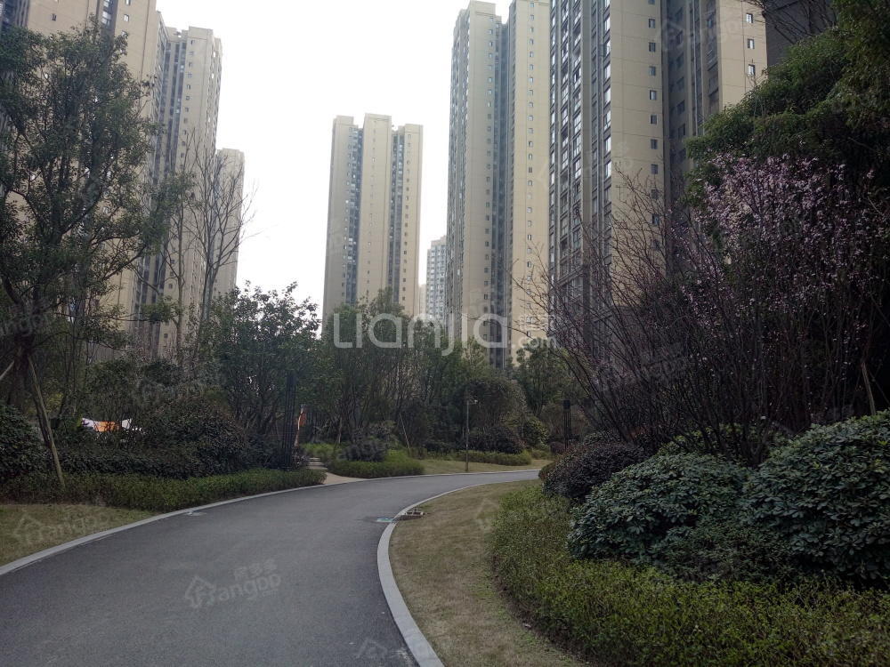 斯坦福公馆小区图片