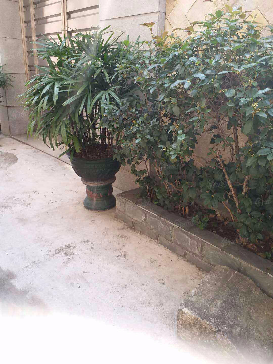 信怡楼小区图片