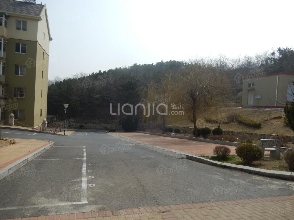 启新逸园（启新街西一巷）小区图片