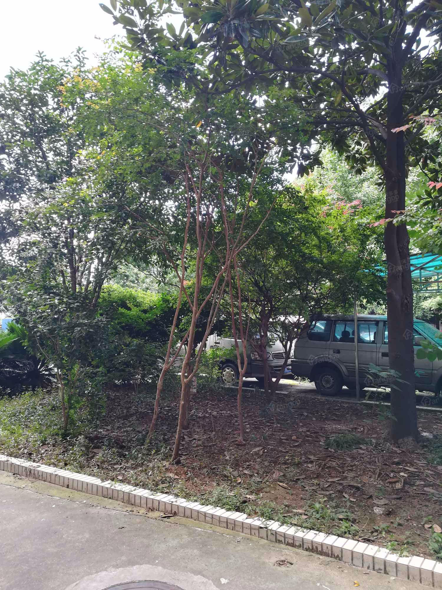 道路运政宿舍小区图片