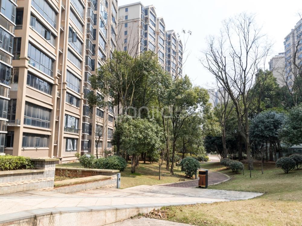 金湘苑小区图片