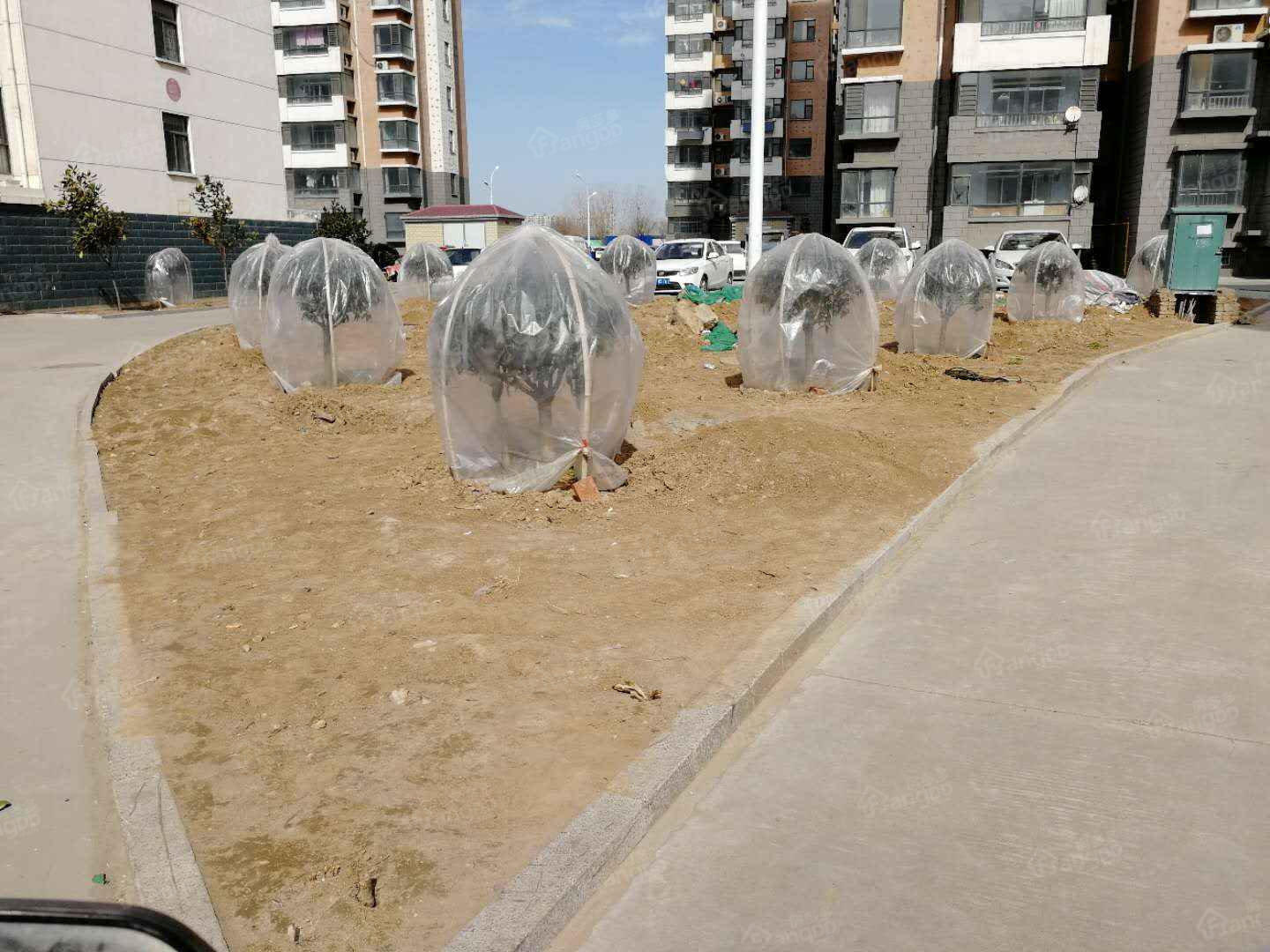 金升社区C区小区图片