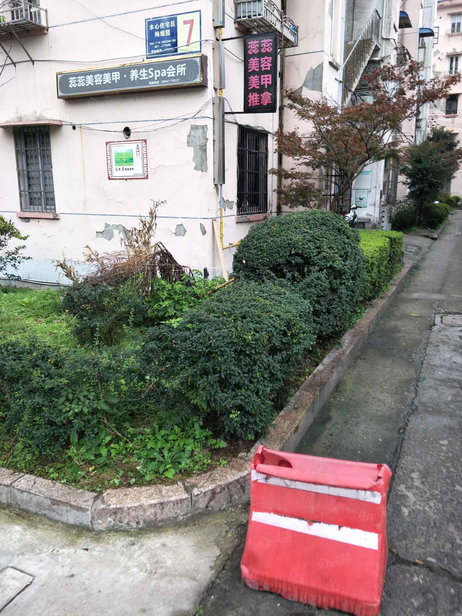 水心住宅区梅组团小区图片