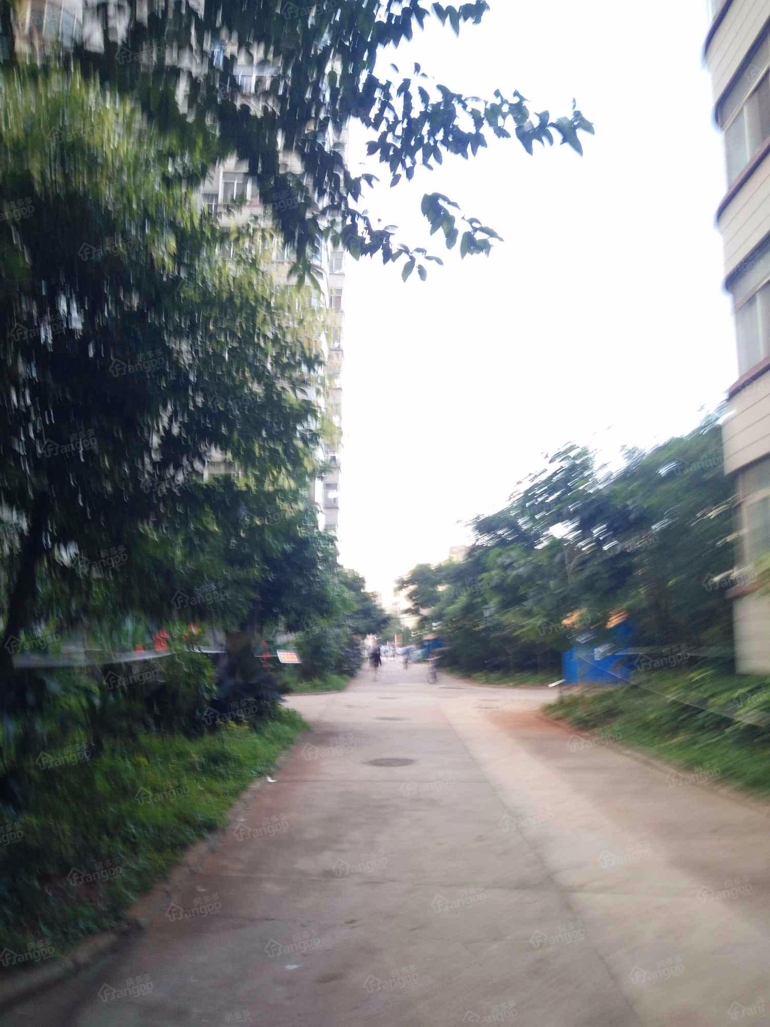 白马小区小区图片