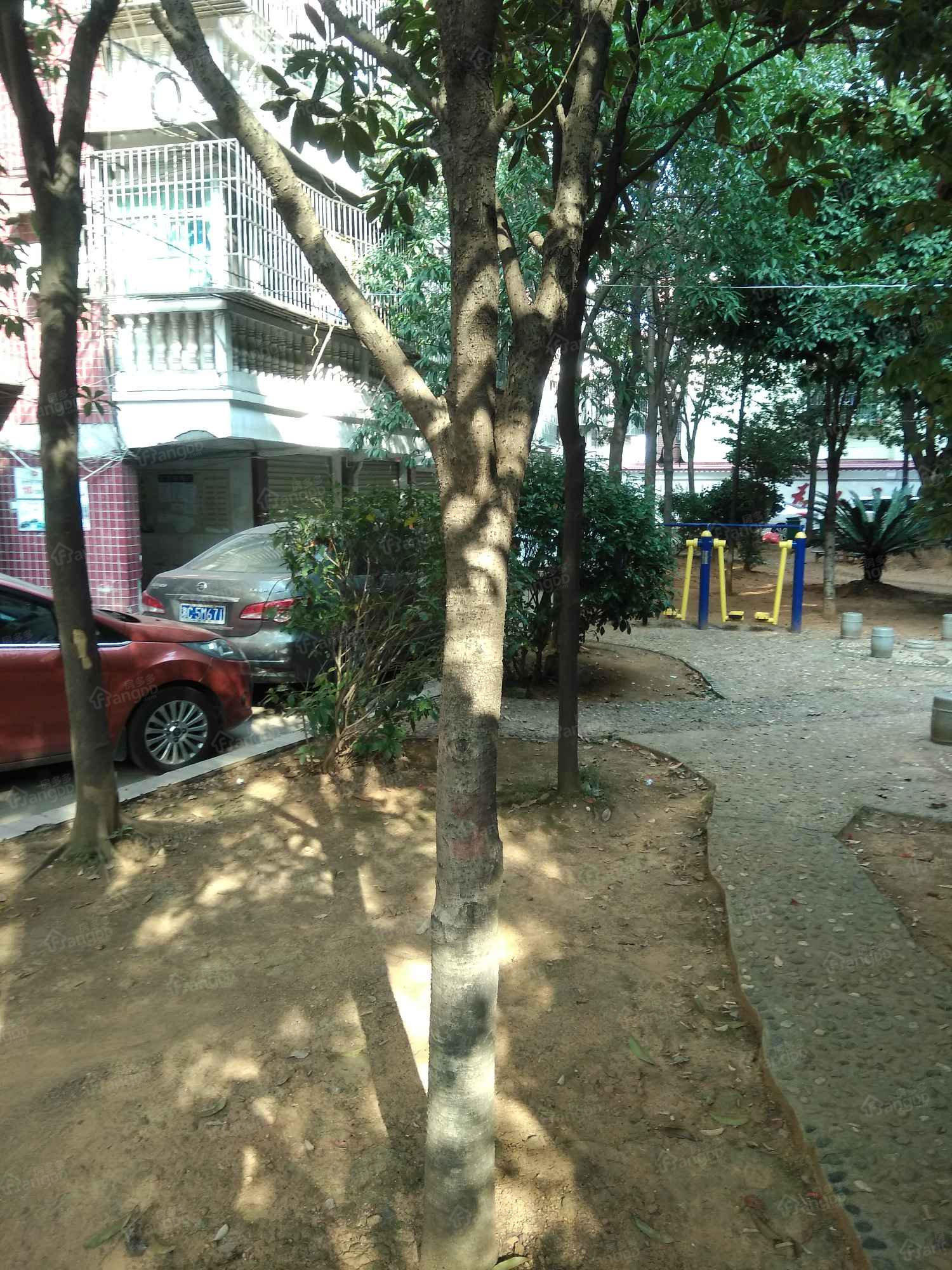烟竹佳园小区图片