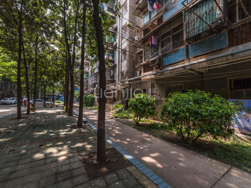 钢花新村111街坊小区图片