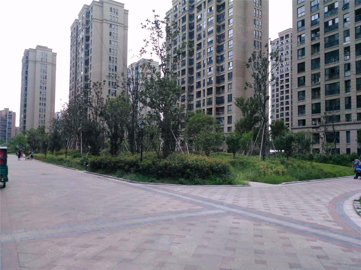 陆家桥新苑小区图片