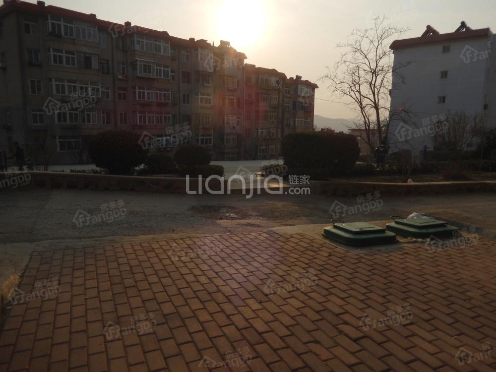 迎春街（旅顺口）小区图片