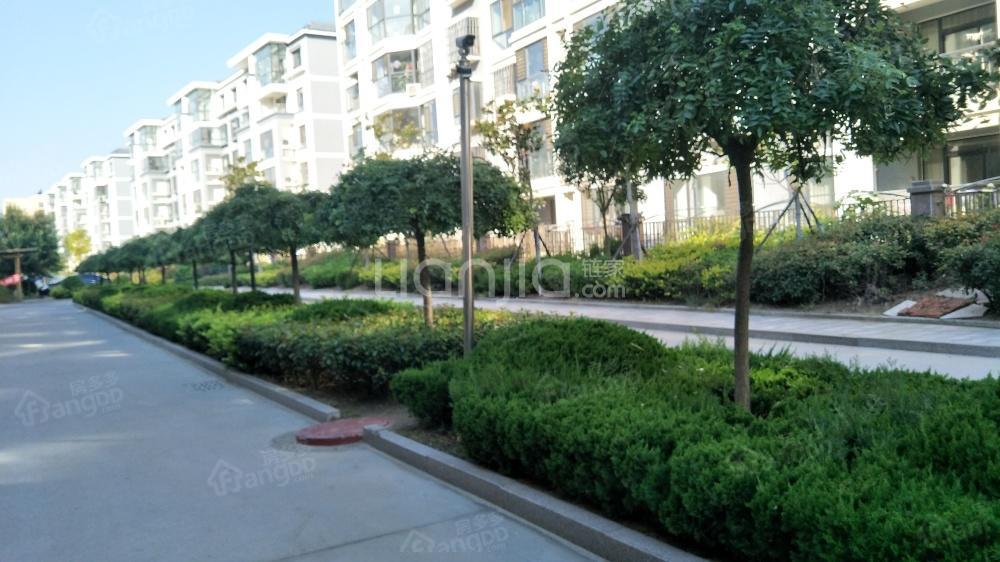 润香名邸小区图片